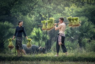 Cơ hội Trúng Lớn Với Giải Sáu Trong Xổ Số Việt Nam